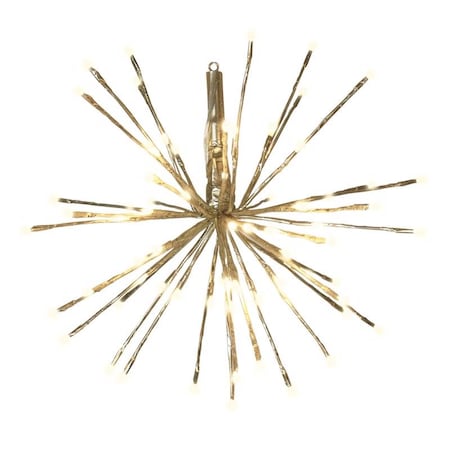 Celebrations PATHWAYGLD RADNT BLST 16RB3N1GWWA